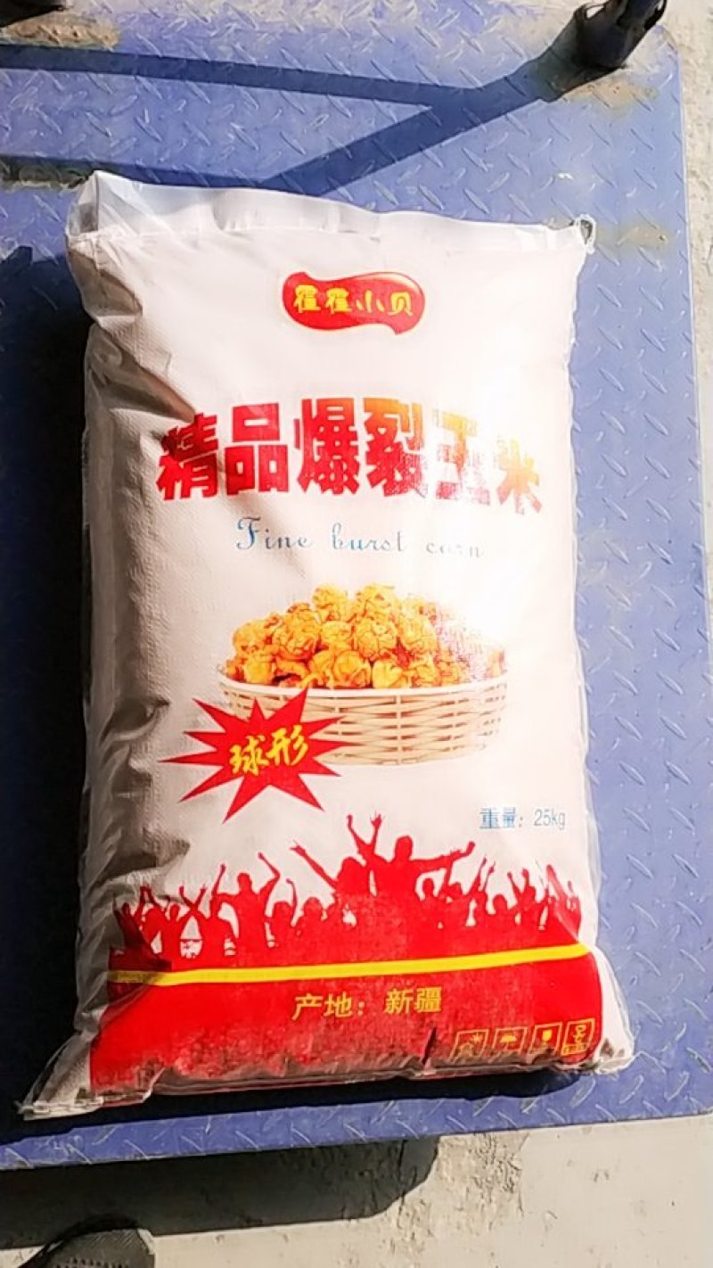大量22年新玉米供应球形爆裂玉米，球形爆米花玉米粒!