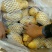 【精品批发】荷兰十五土豆袋子货诚信代办一手货源