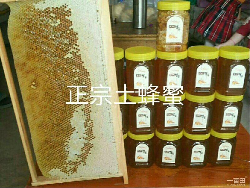天然土蜂蜜
