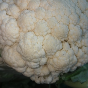 质量好，色白，商品性优