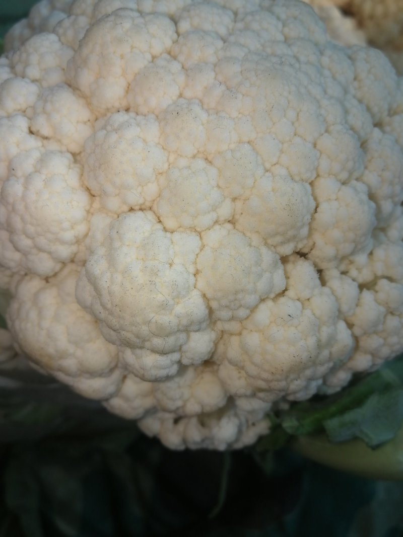 质量好，色白，商品性优