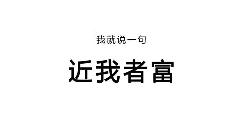 生猪，母猪