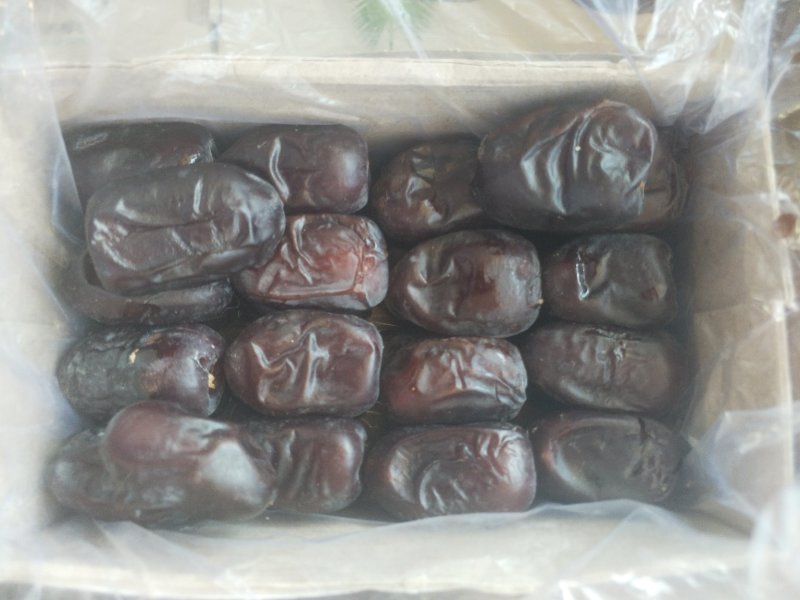 麦士康进口黑椰枣650g/盒