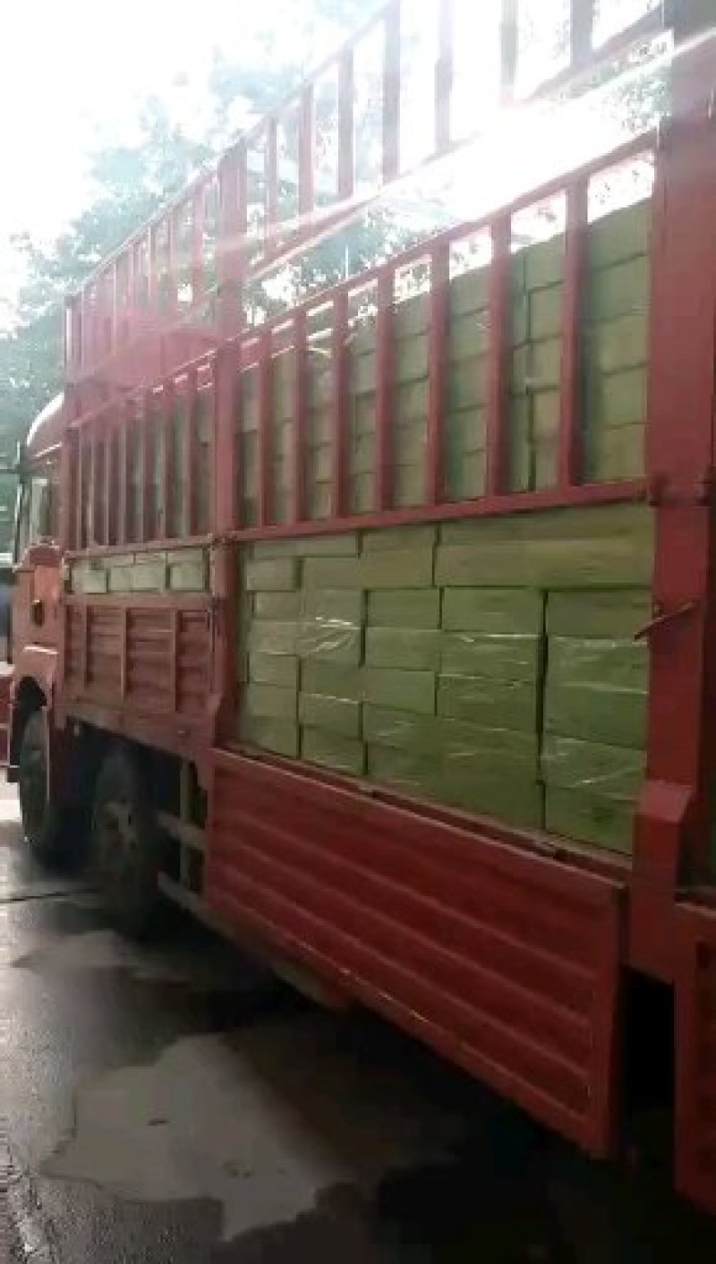 进口伊朗黑椰枣，一手货源，