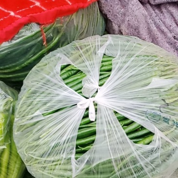 青辣椒