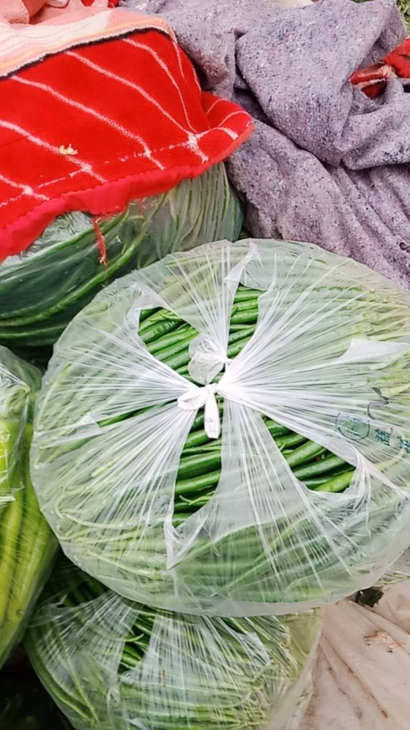 青辣椒