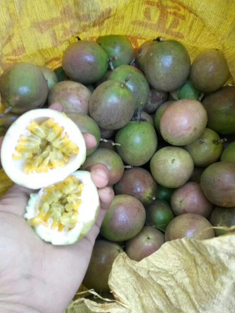 百香果