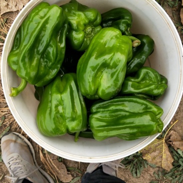 麻辣