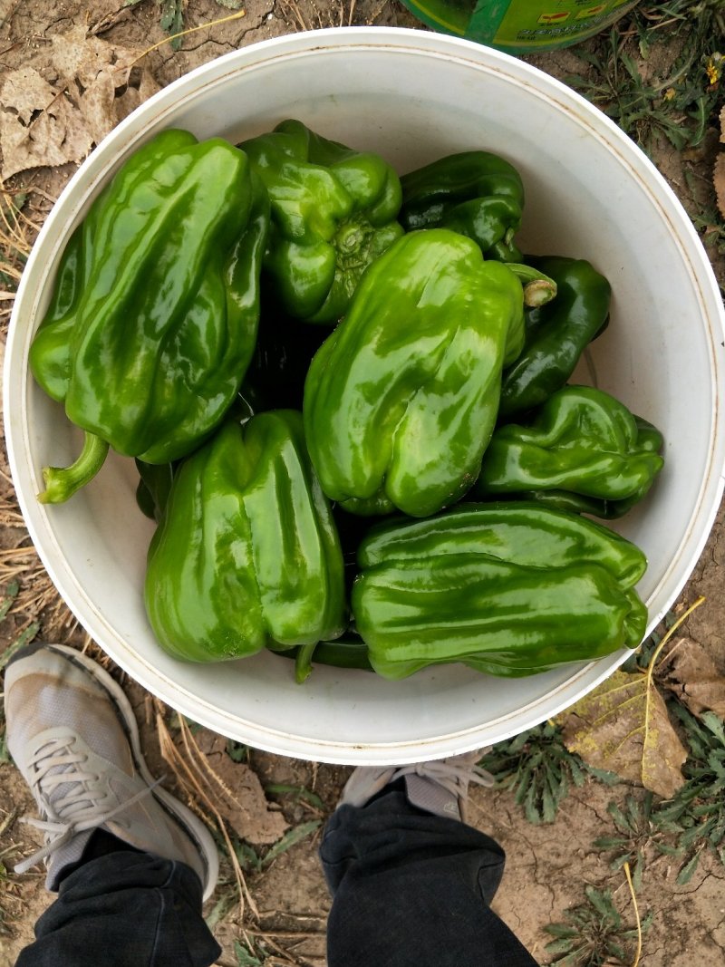 麻辣