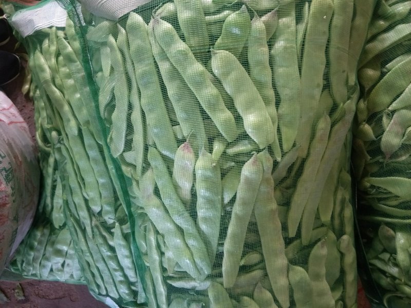 油豆一点红
