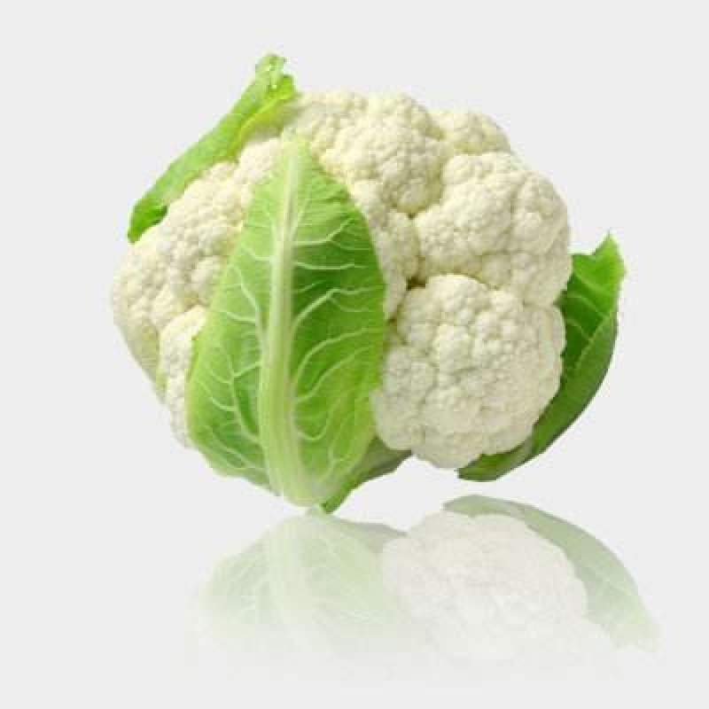 山东有机菜花产地批发大量上市中