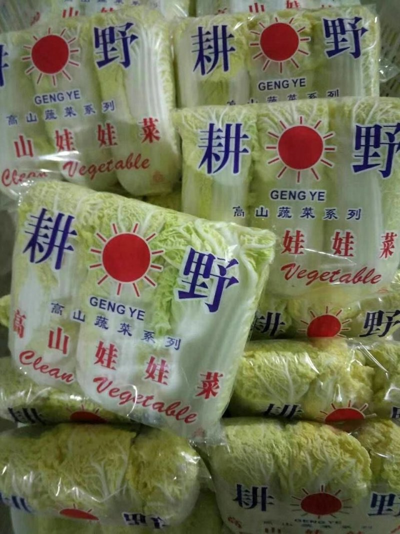 娃娃菜