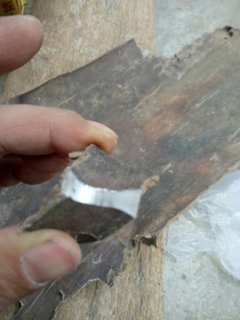 杜仲皮，选装四川货刮皮质量很好新货金丝不白