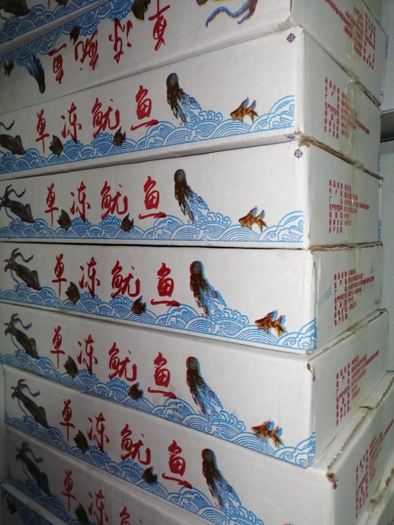 国产单冻鱿鱼单冻鱿鱼5条装200-300规格
