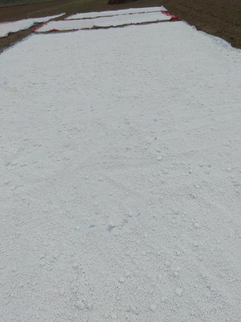 红薯粉面