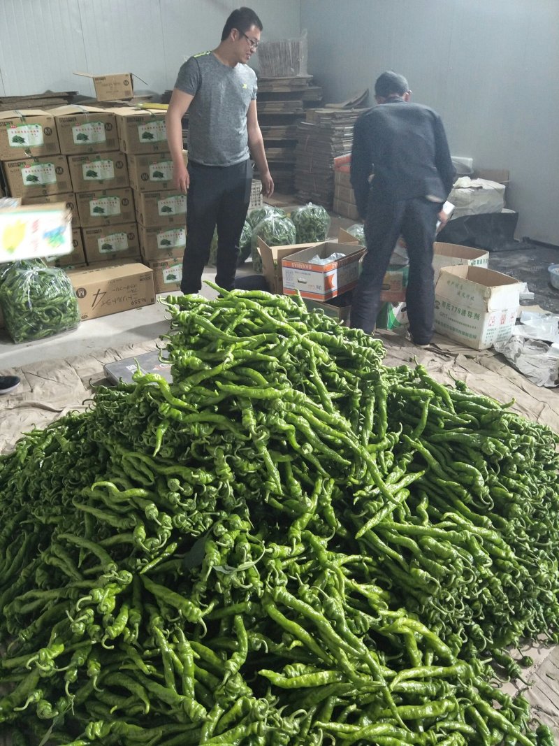 螺丝椒