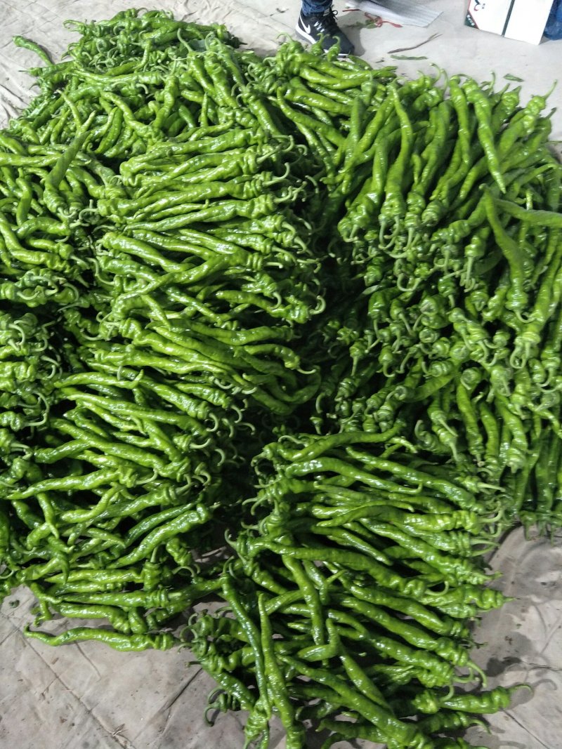 螺丝椒