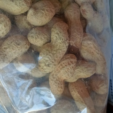 卤味花生