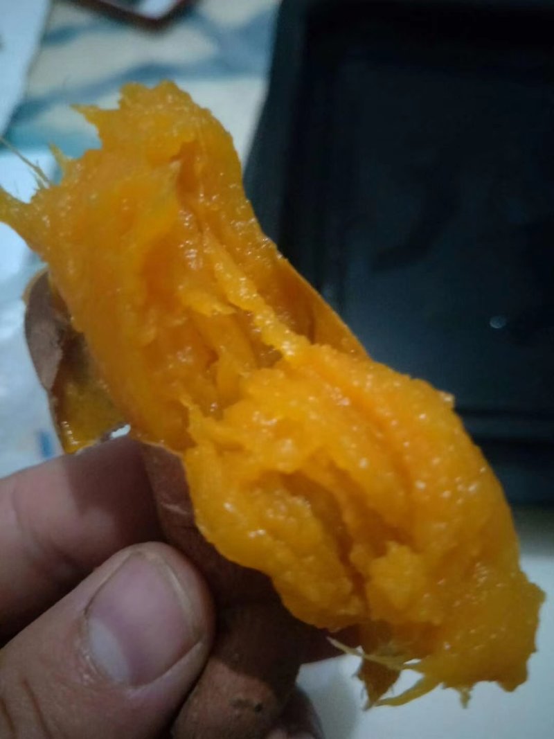 烟薯25精品3两以上通货