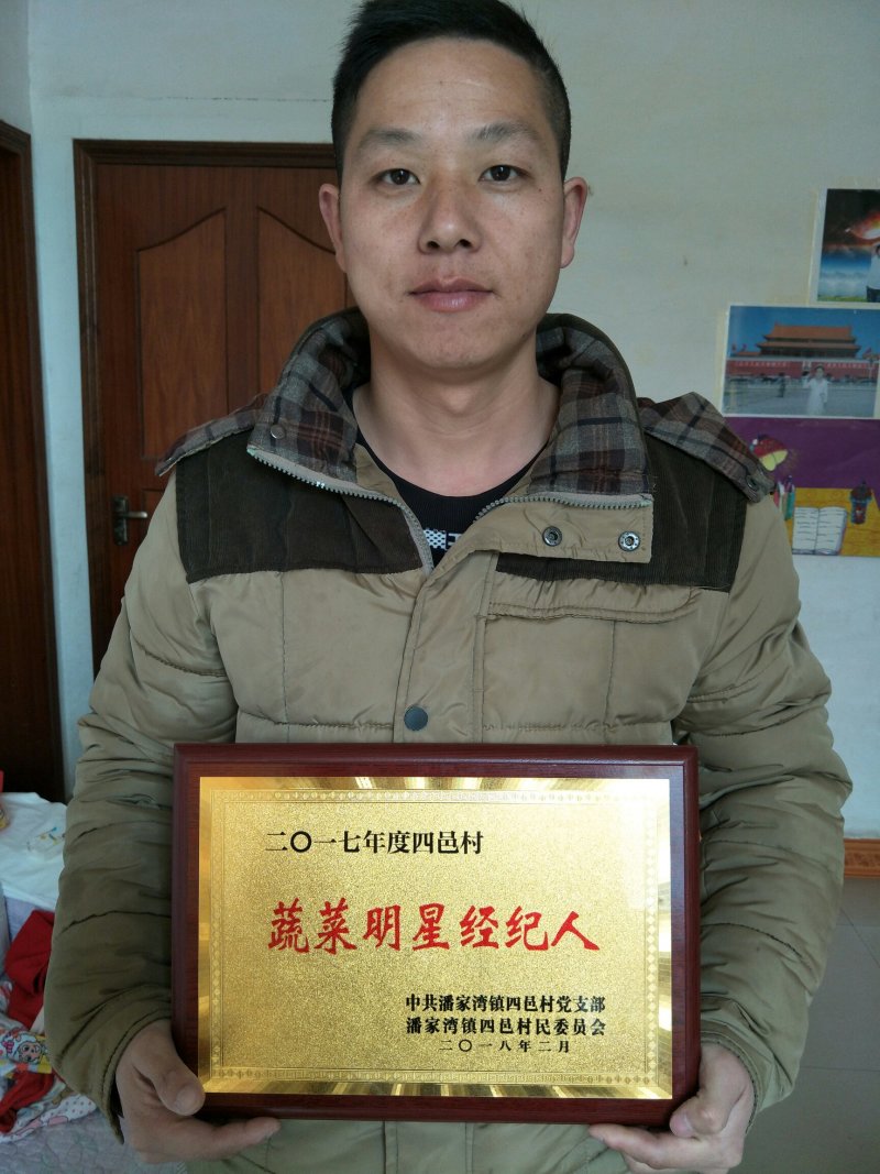 扁包菜大量供应，质量有保障，诚信代办，