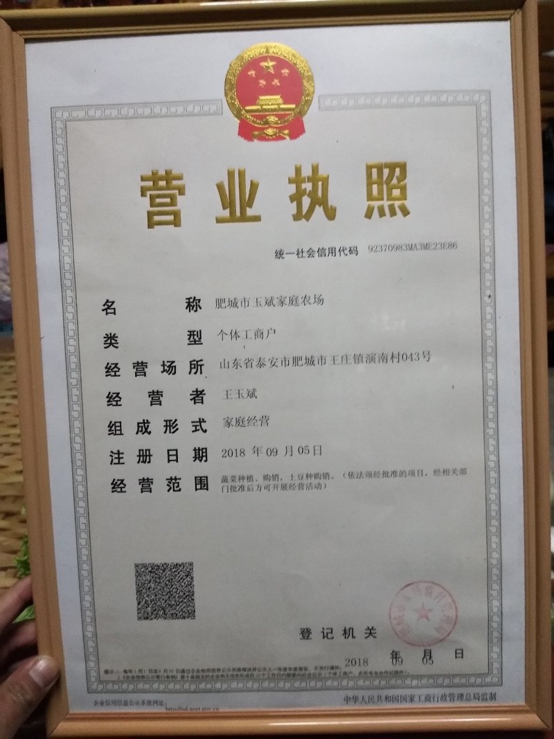 大白菜