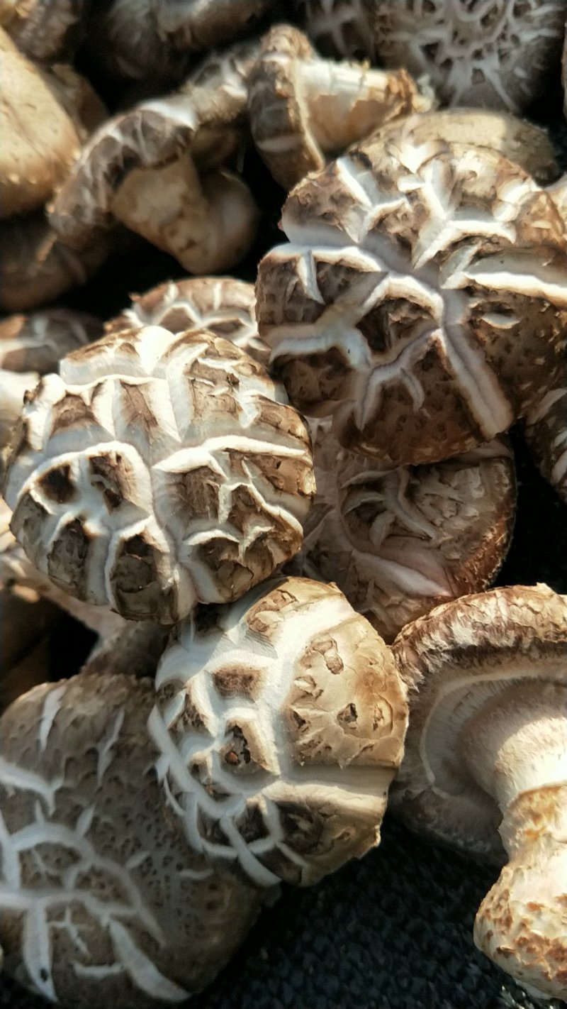 鲜菇花菇干货