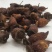 金樱子