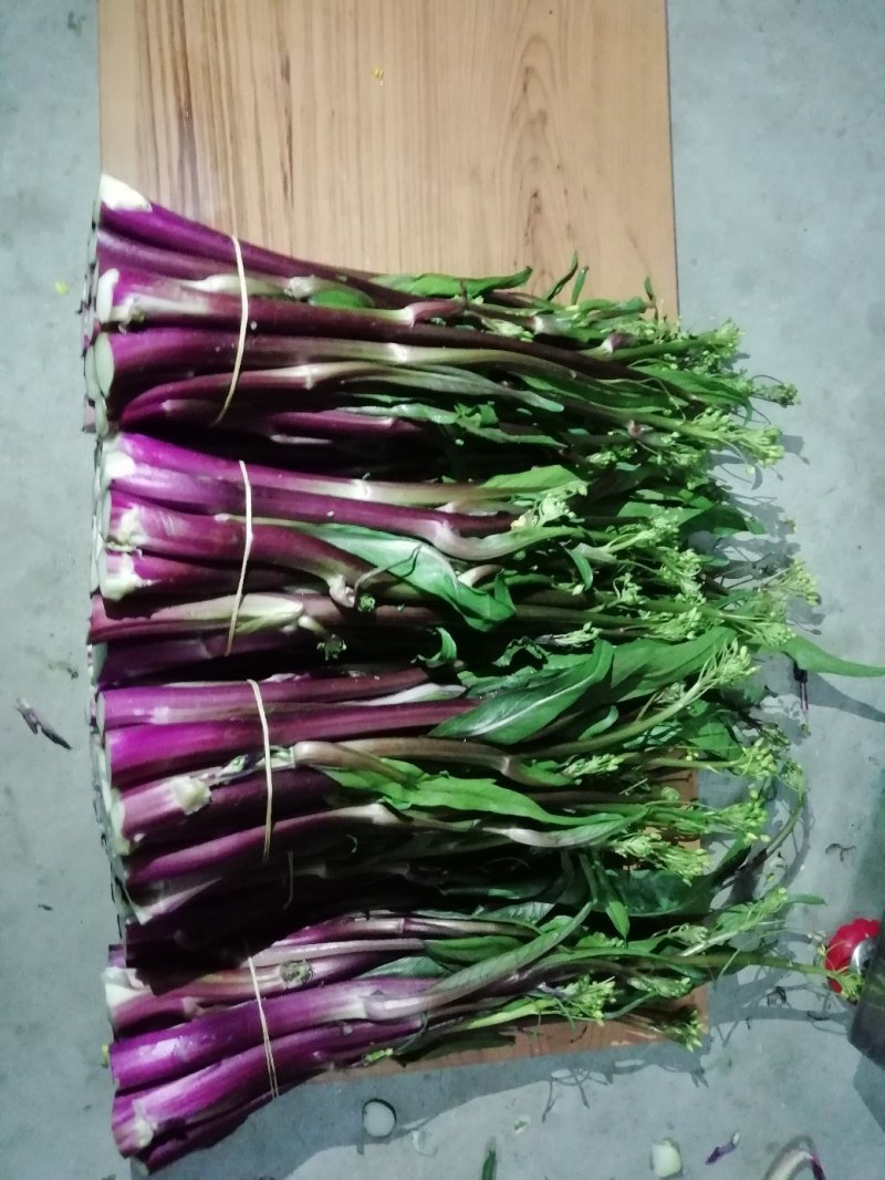 各种蔬菜已大量上市欢迎订购