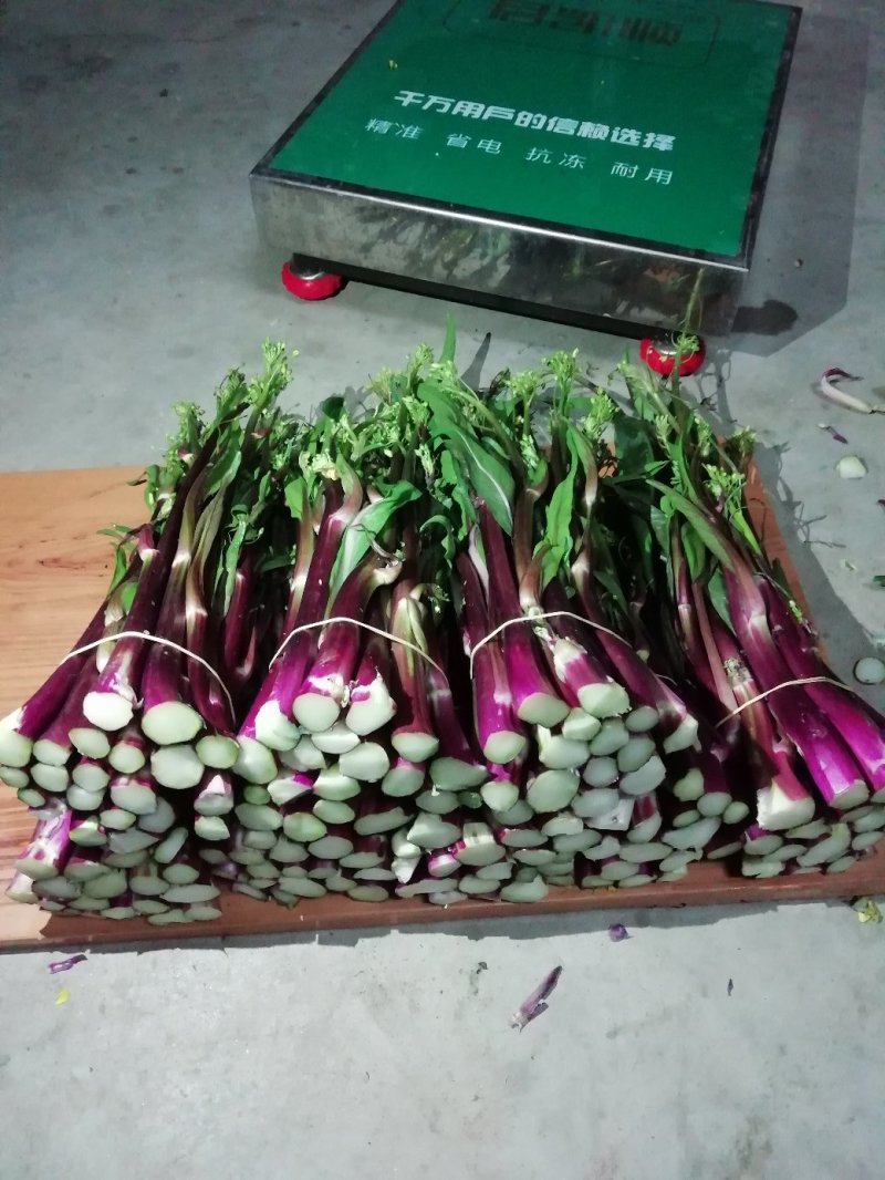 各种蔬菜已大量上市欢迎订购