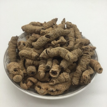 巴戟天