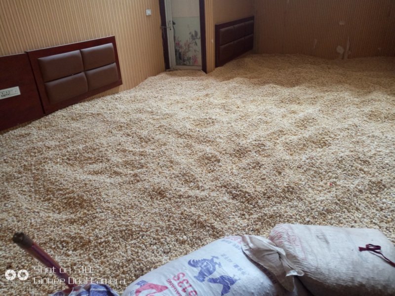 干半夏、鲜半夏及各种商品土豆和种薯。