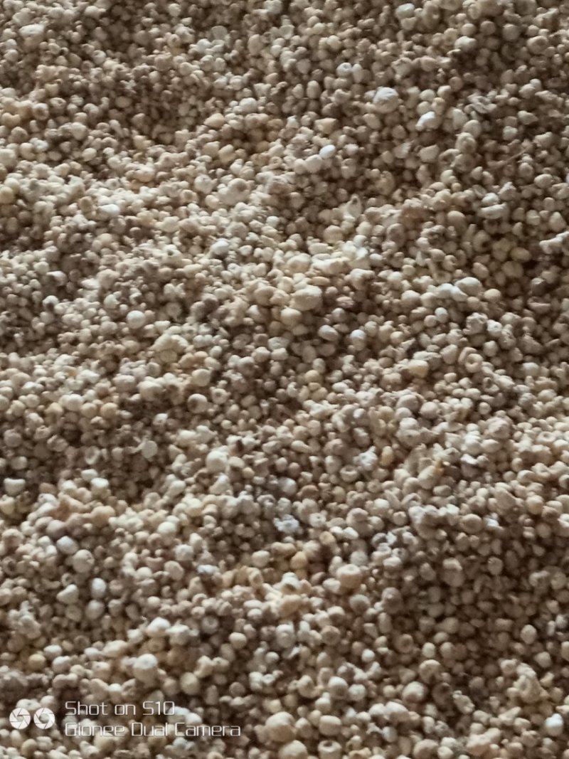 干半夏、鲜半夏及各种商品土豆和种薯。