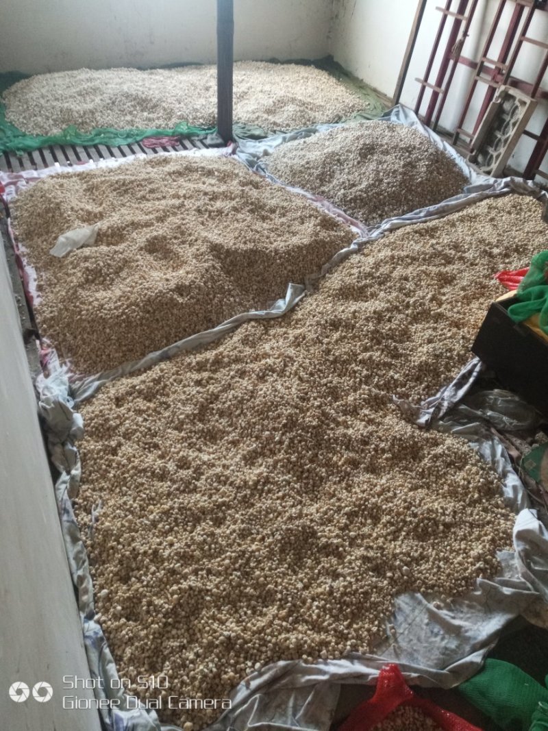 干半夏、鲜半夏及各种商品土豆和种薯。