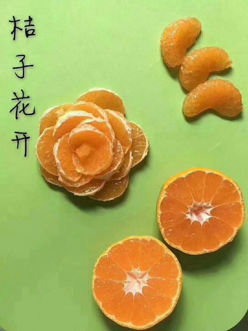 涌泉蜜橘