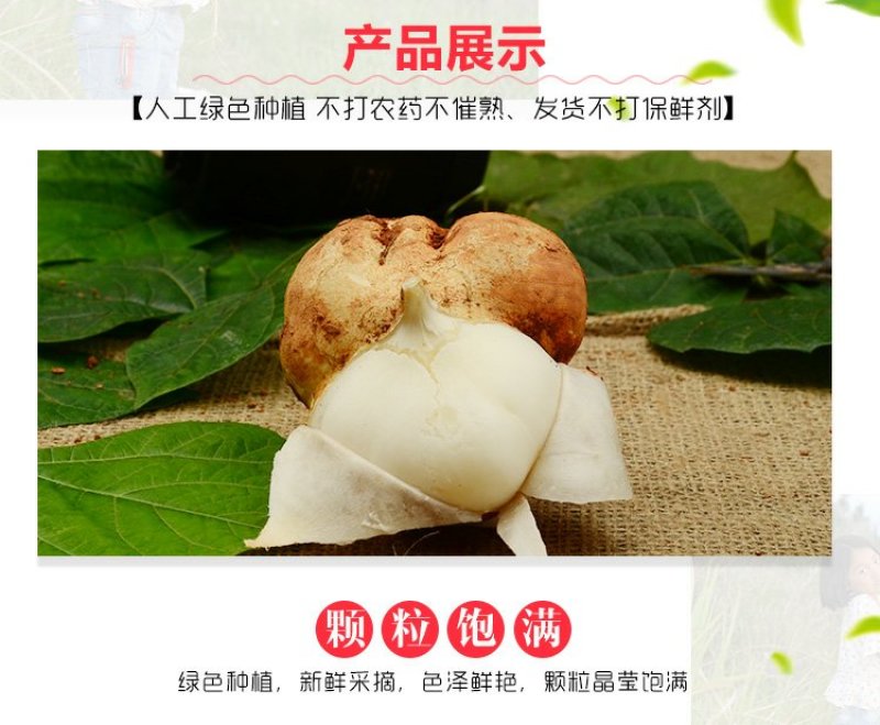 2022年新鲜地瓜特产凉薯地瓜土瓜白地瓜沙葛地梨一份5斤
