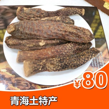 青海特产肉苁蓉产地直销