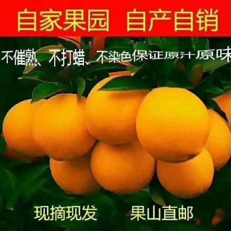 赣南脐橙10斤68元起，包邮，招代理，一件代发