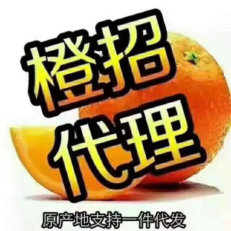 赣南脐橙10斤68元起，包邮，招代理，一件代发