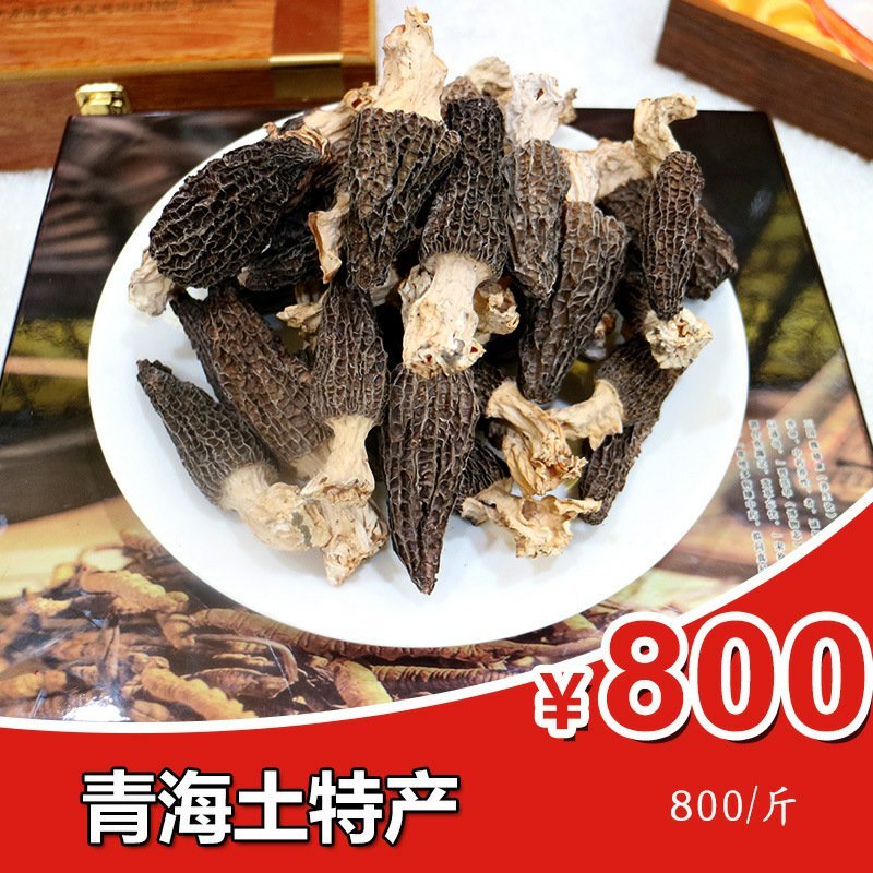 青藏特产羊肚菌