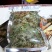 青海特产淫羊藿