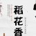 东北特产。稻花香大米。江米，长粒香大米小丁米。