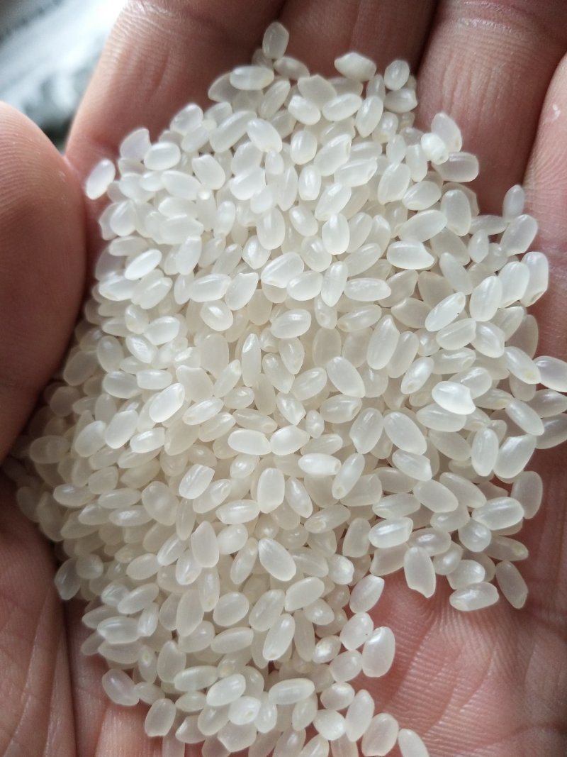 东北特产。稻花香大米。江米，长粒香大米小丁米。
