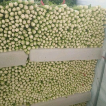 芹菜