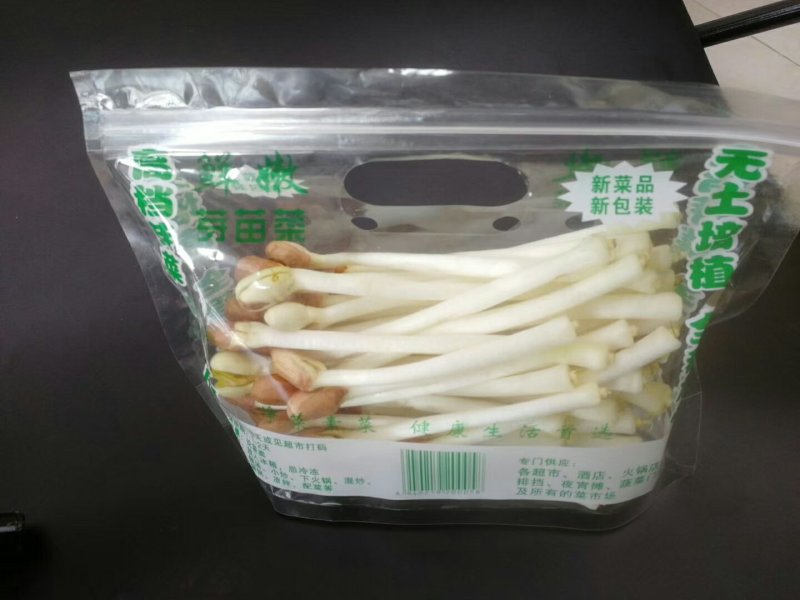芽苗类