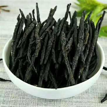 苦丁茶