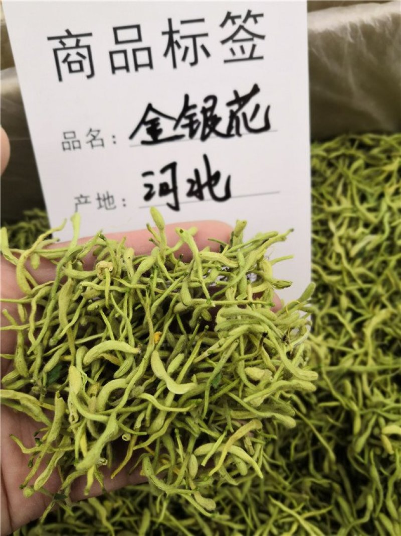 金银花