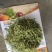 金银花