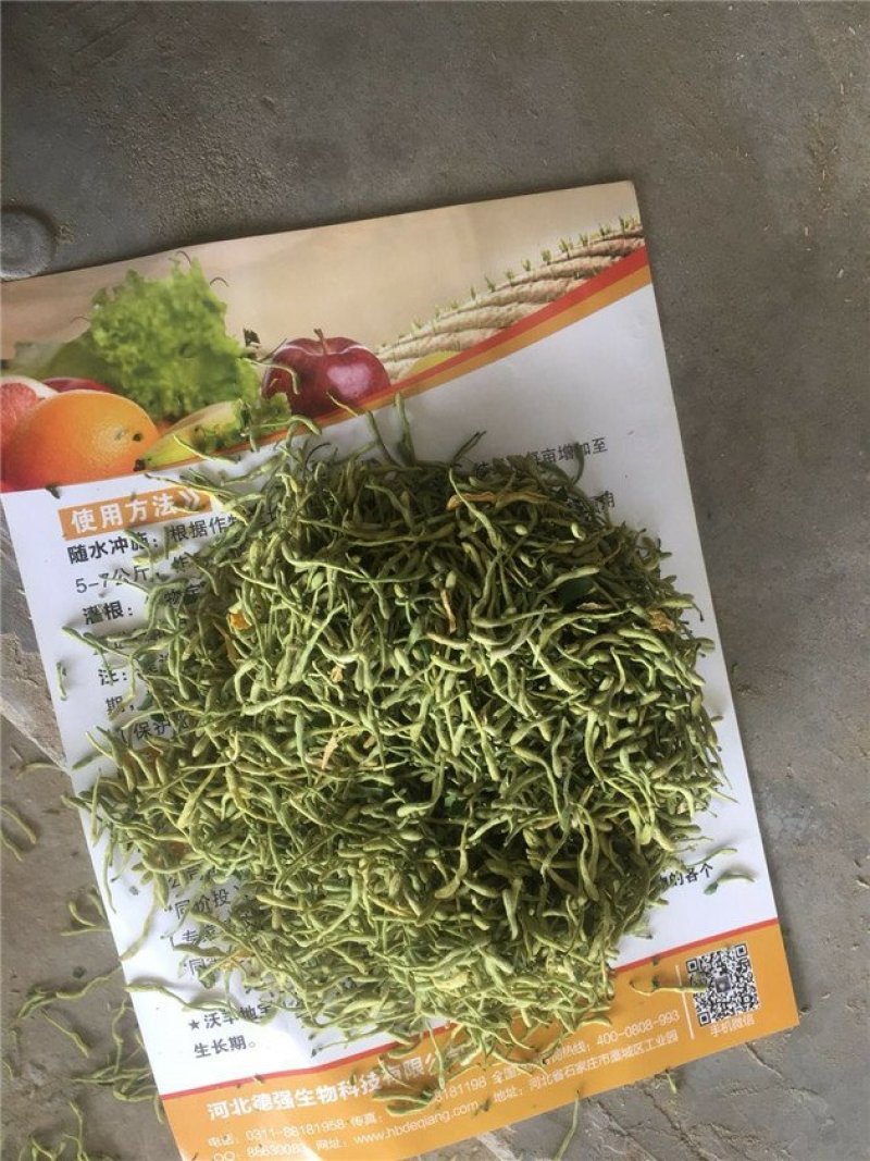 金银花
