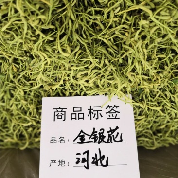 金银花
