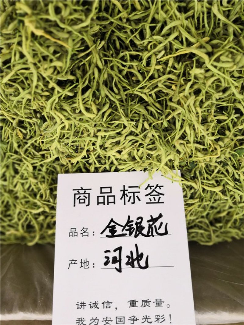 金银花